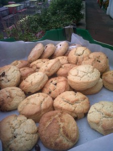 Sara's Homemade Scones