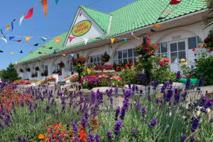 Sara's Tearooms in Bloom